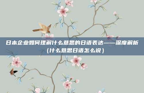日本企业如何理解什么意思的日语表达——深度解析（什么意思日语怎么说）