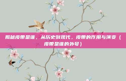揭秘皮带是谁，从历史到现代，皮带的作用与演变（皮带是谁的外号）