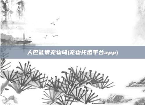 大巴能带宠物吗(宠物托运平台app)