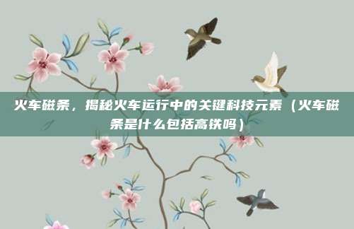 火车磁条，揭秘火车运行中的关键科技元素（火车磁条是什么包括高铁吗）