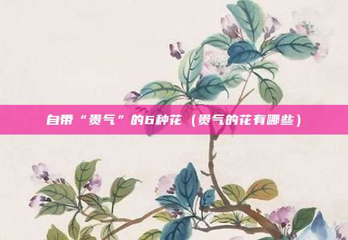 自带“贵气”的6种花（贵气的花有哪些）