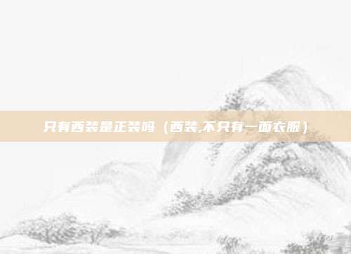 只有西装是正装吗(西装,不只有一面衣服)
