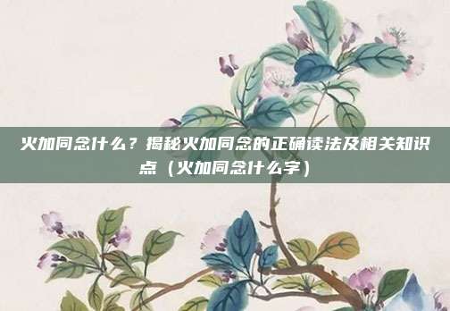 火加同念什么？揭秘火加同念的正确读法及相关知识点（火加同念什么字）