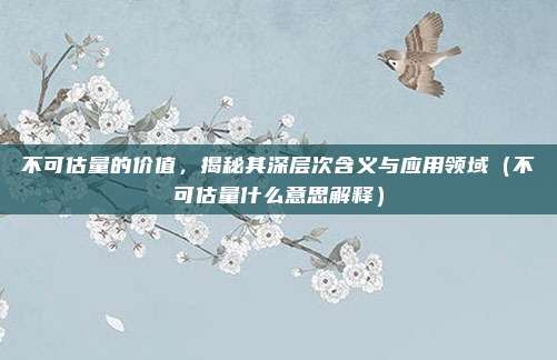 不可估量的价值,揭秘其深层次含义与应用领域(不可估量什么意思解释)