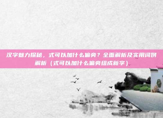 汉字魅力探秘，式可以加什么偏旁？全面解析及实用词例解析（式可以加什么偏旁组成新字）