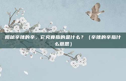 揭秘辛辣的辛，它究竟指的是什么？（辛辣的辛指什么意思）