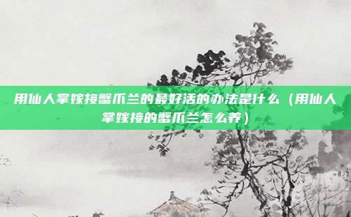 用仙人掌嫁接蟹爪兰的最好活的办法是什么(用仙人掌嫁接的蟹爪兰怎么养)