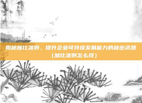 揭秘加比准则，提升企业可持续发展能力的秘密武器（加比准则怎么找）