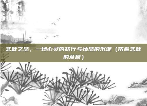悲秋之感，一场心灵的旅行与情感的沉淀（伤春悲秋的意思）