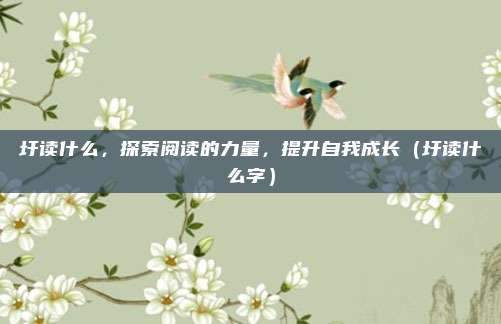 圩读什么,探索阅读的力量,提升自我成长(圩读什么字)