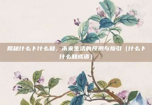 揭秘什么卜什么知，未来生活的预测与指引（什么卜什么知成语）