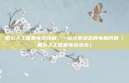 戴尔人工客服电话详解，一站式解决您的电脑问题（戴尔人工客服电话多少）