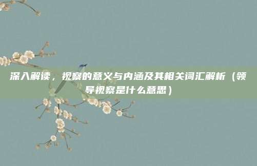深入解读，视察的意义与内涵及其相关词汇解析（领导视察是什么意思）
