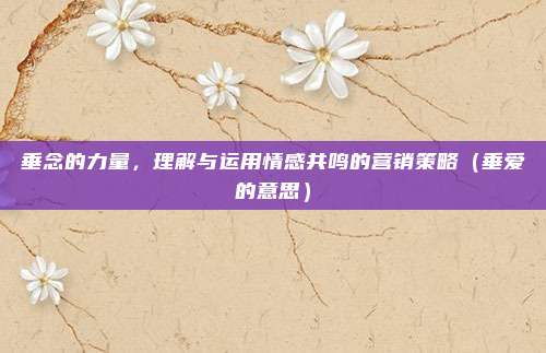 垂念的力量，理解与运用情感共鸣的营销策略（垂爱的意思）