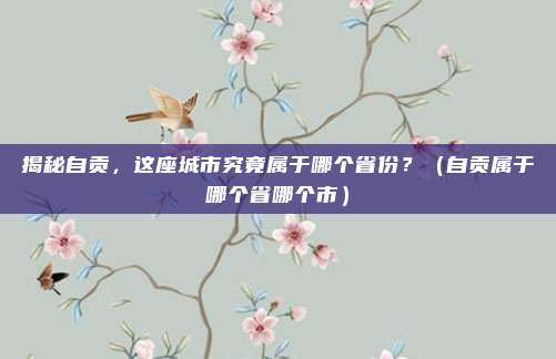 揭秘自贡，这座城市究竟属于哪个省份？（自贡属于哪个省哪个市）