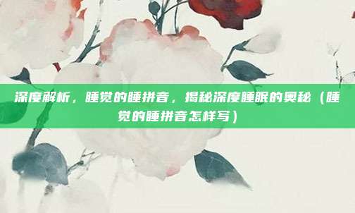 深度解析，睡觉的睡拼音，揭秘深度睡眠的奥秘（睡觉的睡拼音怎样写）