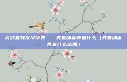 高效查找汉字字典——先查部首再查什么（先查部首再查什么笔画）