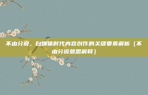 不由分说，自媒体时代内容创作的关键要素解析（不由分说意思解释）