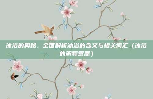 沐浴的奥秘，全面解析沐浴的含义与相关词汇（沐浴的解释意思）