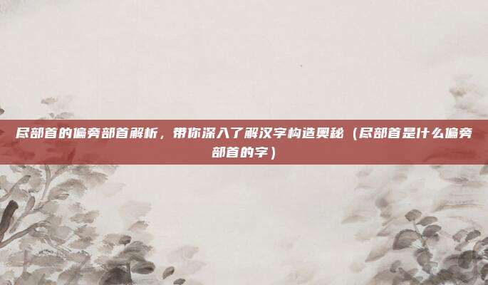 尽部首的偏旁部首解析，带你深入了解汉字构造奥秘（尽部首是什么偏旁部首的字）
