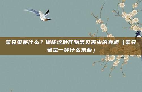 菜豆象是什么？揭秘这种作物常见害虫的真相（菜豆象是一种什么东西）