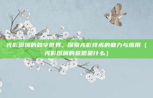 光影斑斓的数字世界，探索光影技术的魅力与应用（光影斑斓的意思是什么）