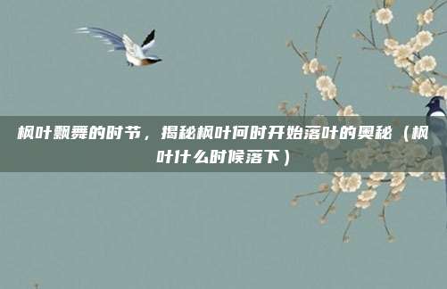 枫叶飘舞的时节，揭秘枫叶何时开始落叶的奥秘（枫叶什么时候落下）