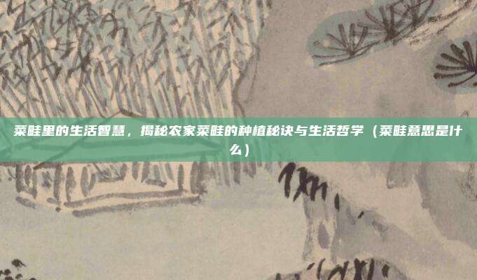 菜畦里的生活智慧，揭秘农家菜畦的种植秘诀与生活哲学（菜畦意思是什么）