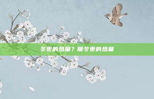 冬枣的热量？脆冬枣的热量