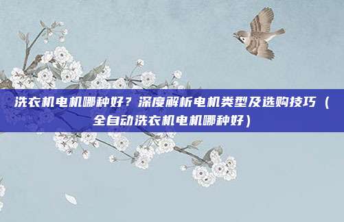 洗衣机电机哪种好？深度解析电机类型及选购技巧（全自动洗衣机电机哪种好）