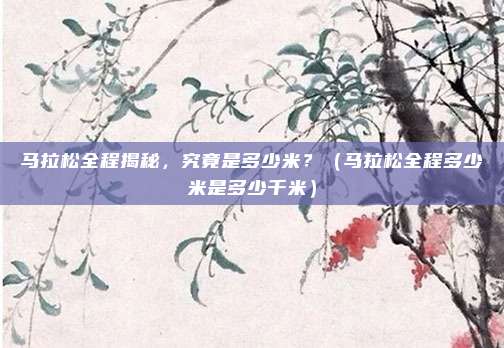 马拉松全程揭秘，究竟是多少米？（马拉松全程多少米是多少千米）