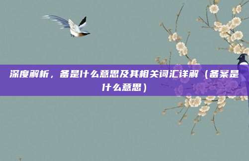 深度解析，备是什么意思及其相关词汇详解（备案是什么意思）