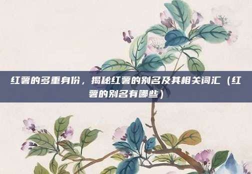 红薯的多重身份，揭秘红薯的别名及其相关词汇（红薯的别名有哪些）