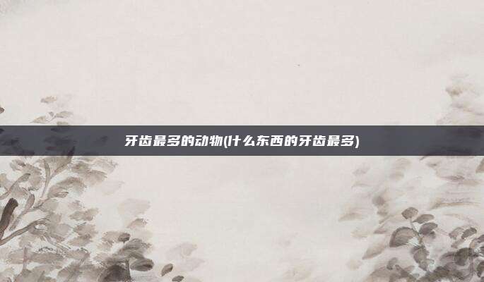 牙齿最多的动物(什么东西的牙齿最多)