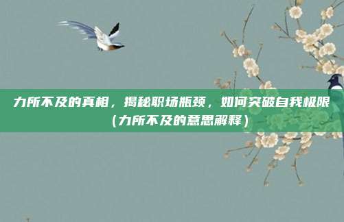 力所不及的真相，揭秘职场瓶颈，如何突破自我极限（力所不及的意思解释）