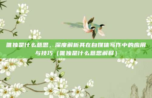 唯独是什么意思，深度解析其在自媒体写作中的应用与技巧（唯独是什么意思解释）
