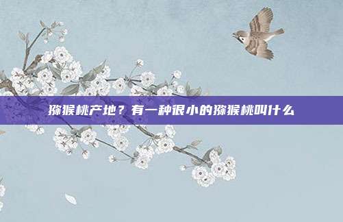 猕猴桃产地？有一种很小的猕猴桃叫什么