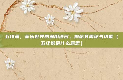 五线谱，音乐世界的通用语言，揭秘其奥秘与功能（五线谱是什么意思）