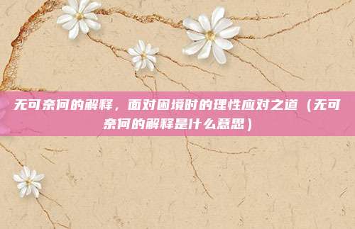 无可奈何的解释，面对困境时的理性应对之道（无可奈何的解释是什么意思）