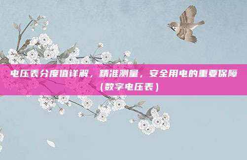 电压表分度值详解，精准测量，安全用电的重要保障（数字电压表）