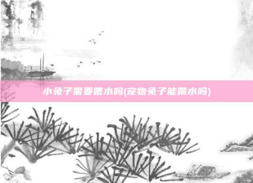 小兔子需要喂水吗(宠物兔子能喝水吗)