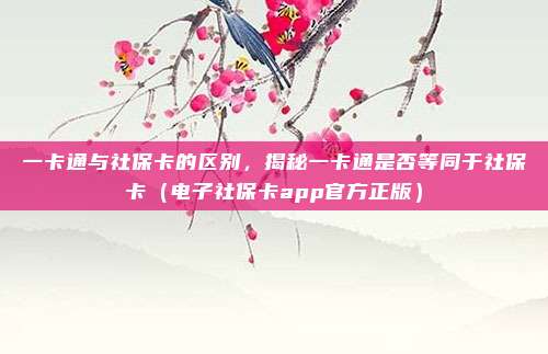一卡通与社保卡的区别，揭秘一卡通是否等同于社保卡（电子社保卡app官方正版）
