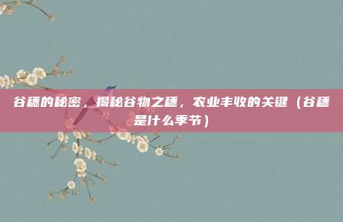 谷穗的秘密，揭秘谷物之穗，农业丰收的关键（谷穗是什么季节）