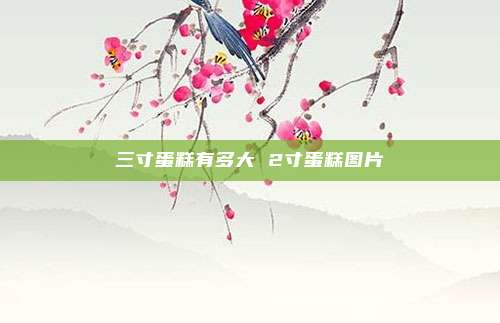 三寸蛋糕有多大 2寸蛋糕图片