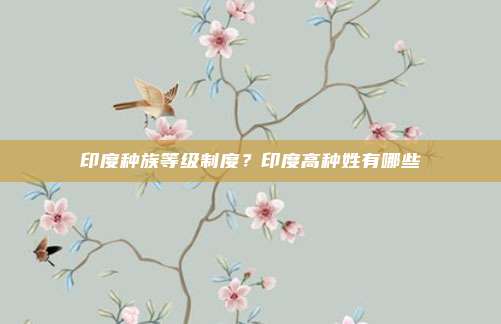 印度种族等级制度？印度高种姓有哪些