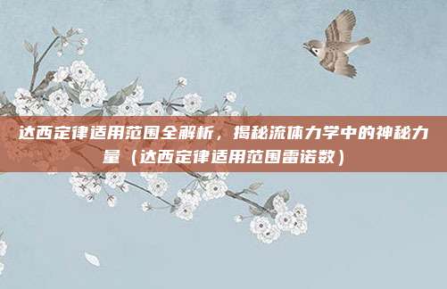 达西定律适用范围全解析，揭秘流体力学中的神秘力量（达西定律适用范围雷诺数）