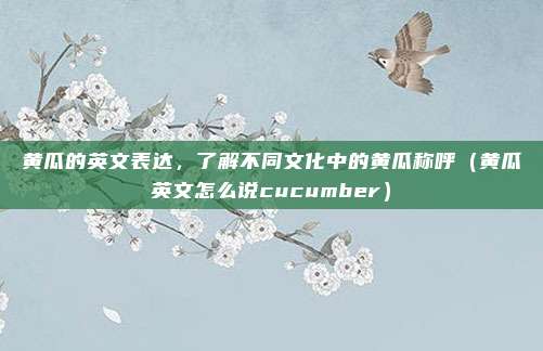 黄瓜的英文表达，了解不同文化中的黄瓜称呼（黄瓜英文怎么说cucumber）