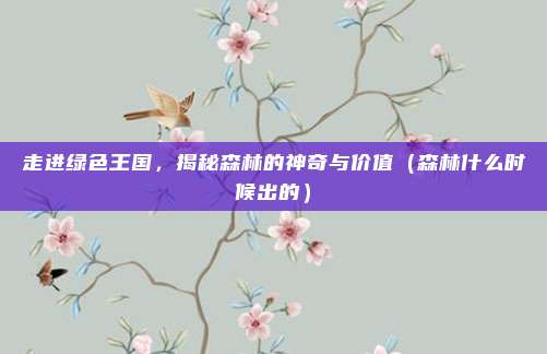 走进绿色王国，揭秘森林的神奇与价值（森林什么时候出的）