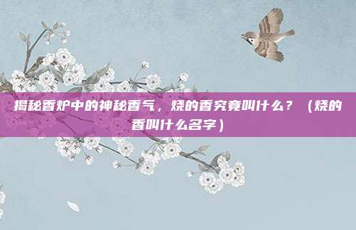揭秘香炉中的神秘香气，烧的香究竟叫什么？（烧的香叫什么名字）