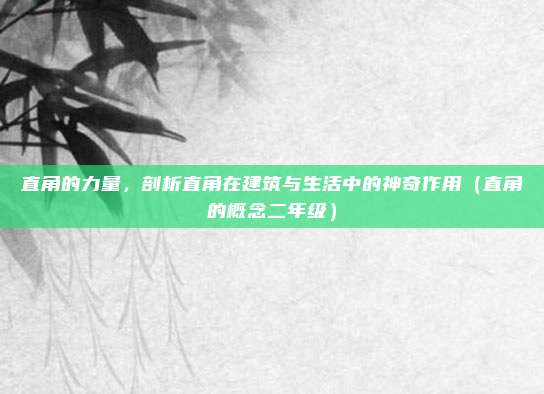 直角的力量，剖析直角在建筑与生活中的神奇作用（直角的概念二年级）
